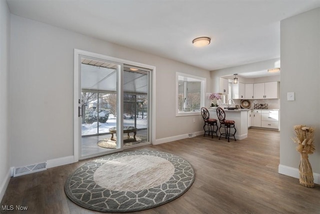 interior space featuring sink and dark hardwood / wood-style floors