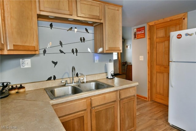 kitchen featuring sink, light hardwood / wood-style floors, and white fridge