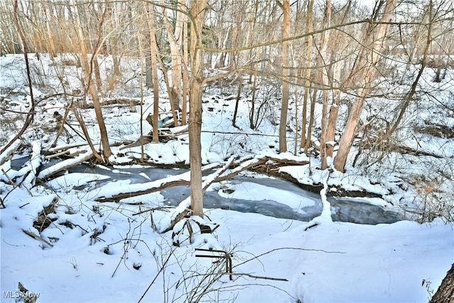 view of snow covered land