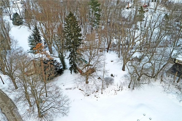 view of snow covered land