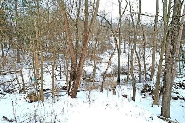 view of snowy landscape