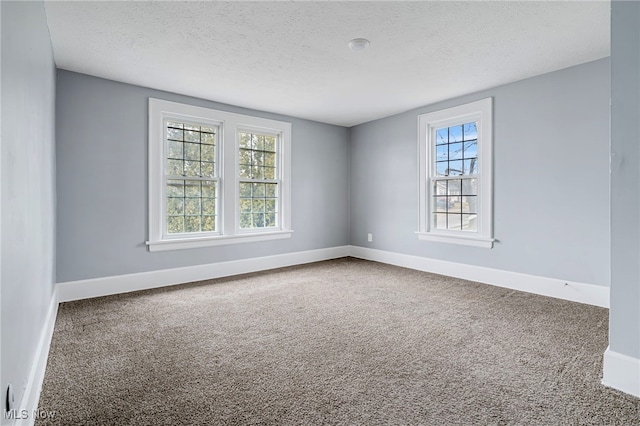 unfurnished room with carpet, a textured ceiling, and a healthy amount of sunlight