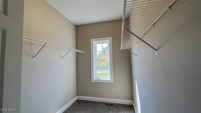 spacious closet with carpet