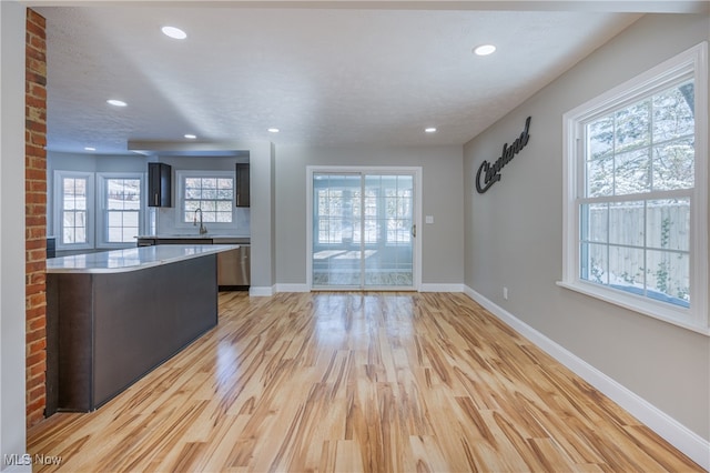 interior space featuring sink, stainless steel dishwasher, plenty of natural light, and light wood-type flooring