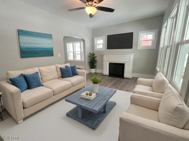 living room with hardwood / wood-style flooring and ceiling fan