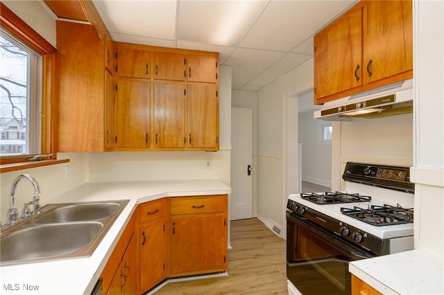 kitchen with sink, a paneled ceiling, light hardwood / wood-style floors, and white gas range oven