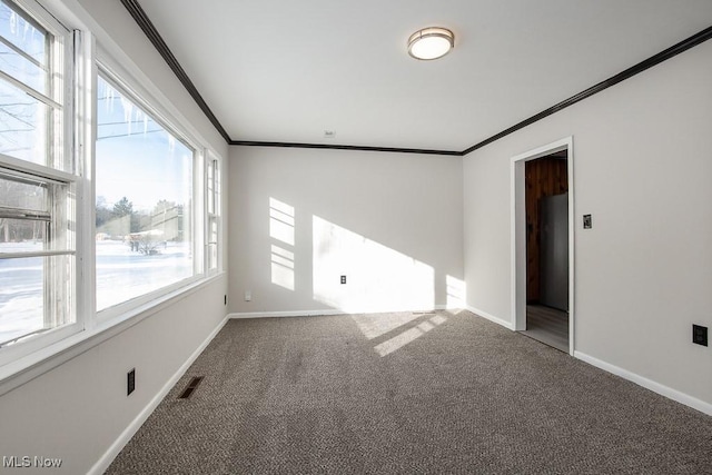 carpeted spare room with crown molding