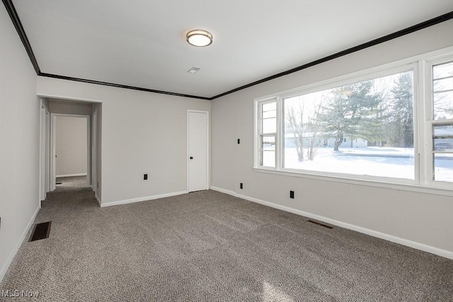 empty room with carpet floors and crown molding