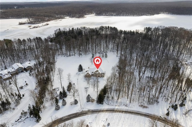 view of snowy aerial view