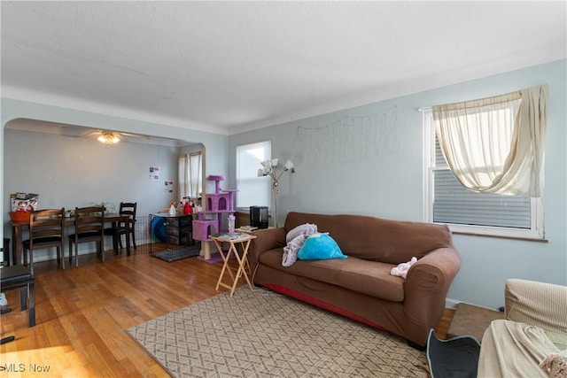 living room with ceiling fan and hardwood / wood-style floors