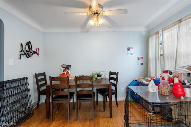 dining room with ceiling fan and wood-type flooring