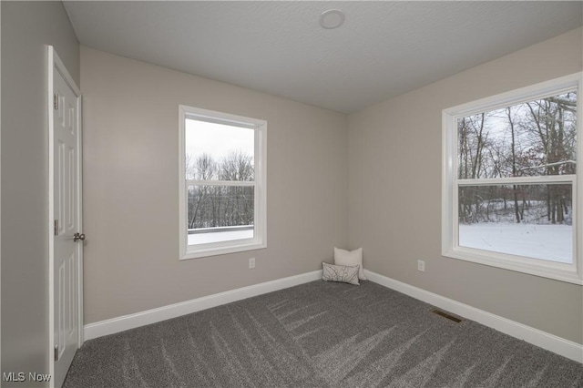 view of carpeted spare room