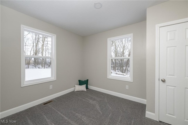 carpeted spare room with a wealth of natural light