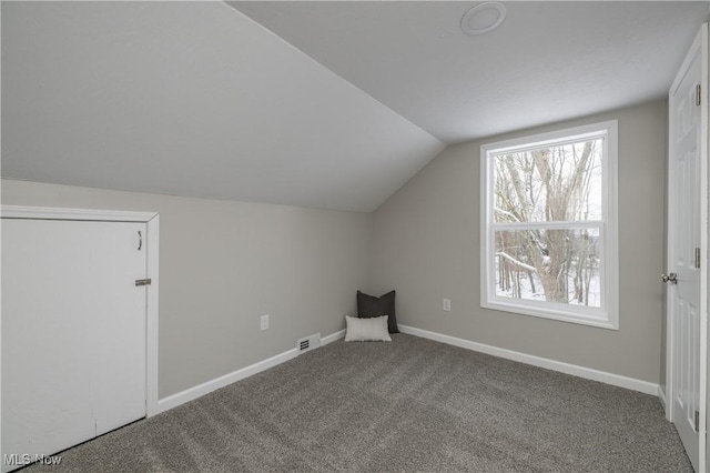 bonus room featuring vaulted ceiling and carpet