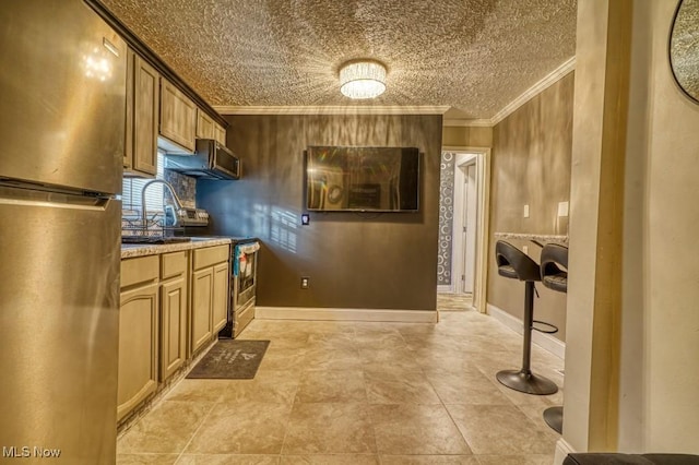 kitchen with crown molding, sink, and stainless steel appliances