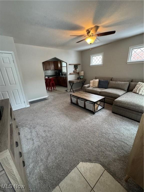 living room with ceiling fan, a wealth of natural light, and carpet