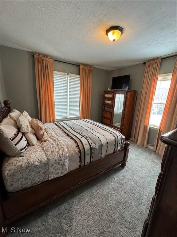 bedroom featuring carpet and a textured ceiling