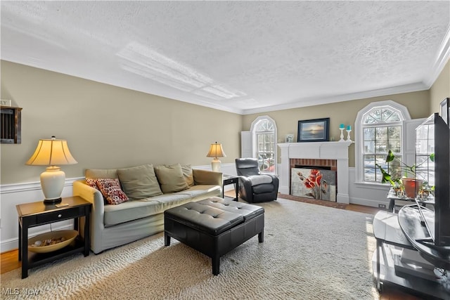 living room featuring crown molding, a fireplace, and a textured ceiling