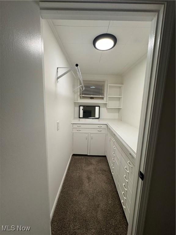 interior space featuring dark carpet and white cabinets