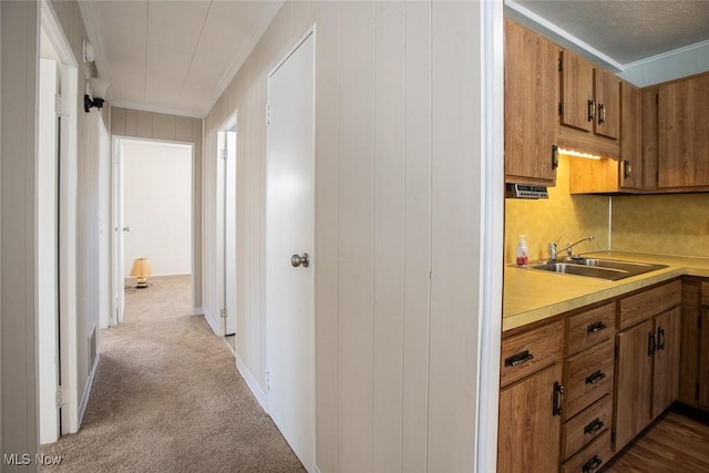 kitchen with sink, ornamental molding, and light carpet