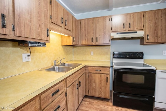 kitchen featuring sink, dishwashing machine, light wood-type flooring, ornamental molding, and range with electric cooktop