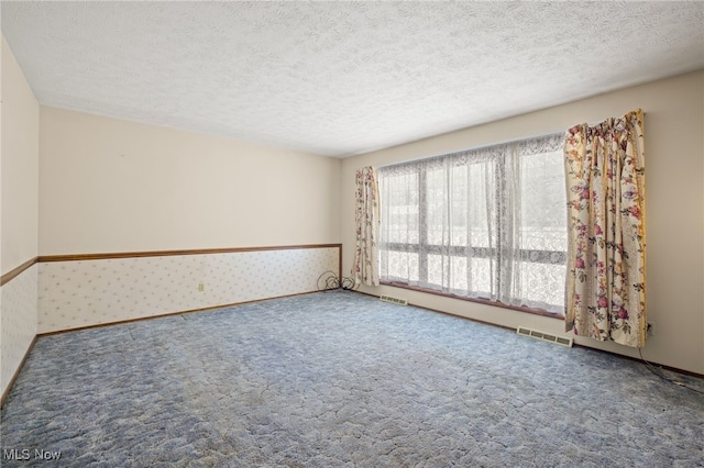 spare room with carpet and a textured ceiling