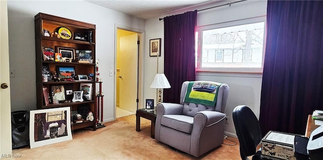 living area featuring light colored carpet