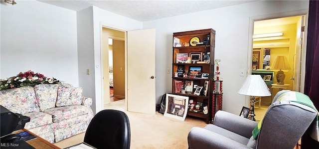 office featuring carpet flooring and a textured ceiling