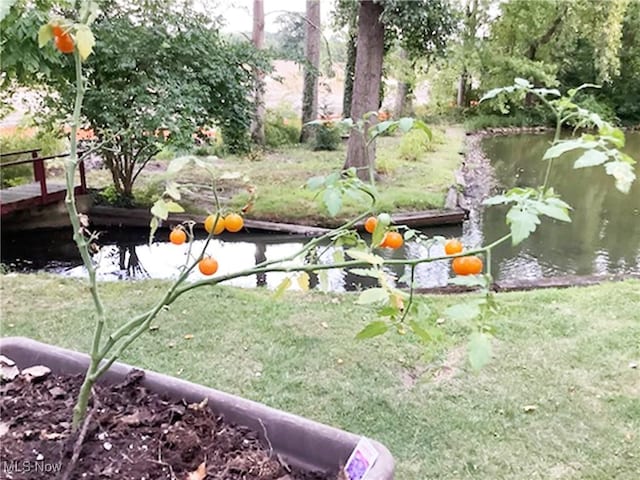 view of yard featuring a water view