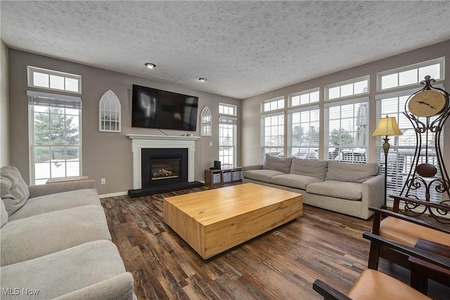 living room with dark hardwood / wood-style floors and a textured ceiling