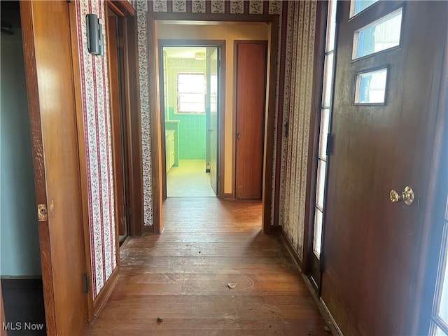 corridor featuring hardwood / wood-style flooring and a wealth of natural light