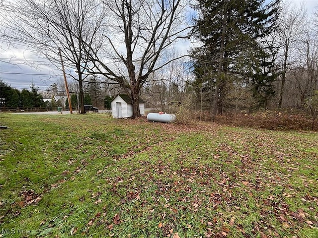 view of yard featuring a shed