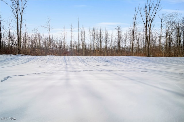 view of yard layered in snow