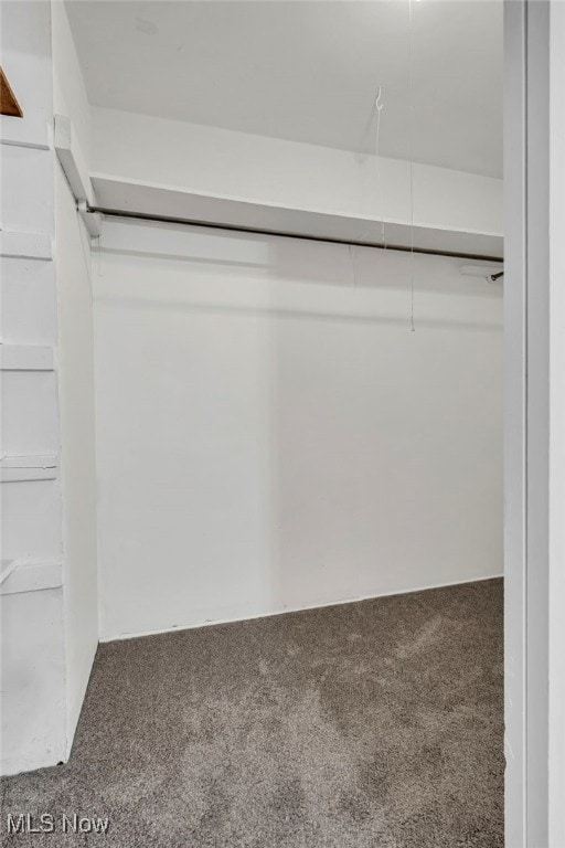 spacious closet with carpet