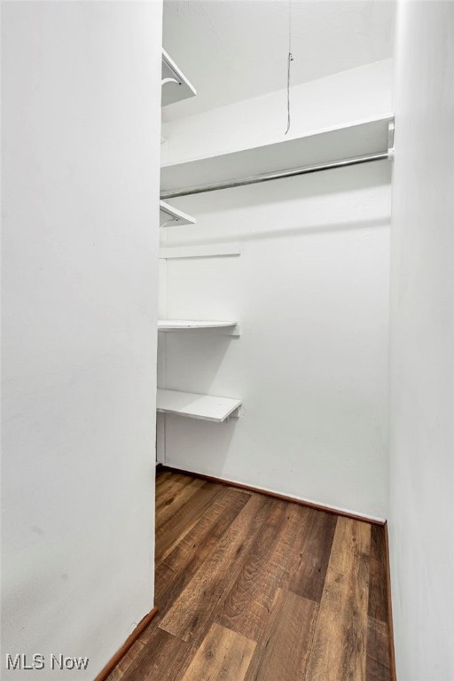 walk in closet with dark hardwood / wood-style floors