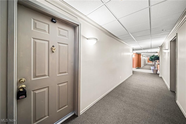 corridor with crown molding, a paneled ceiling, and dark carpet