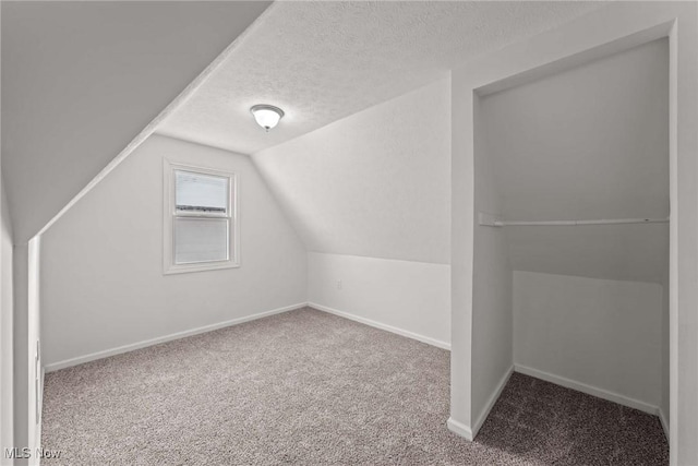 additional living space with lofted ceiling, carpet floors, and a textured ceiling