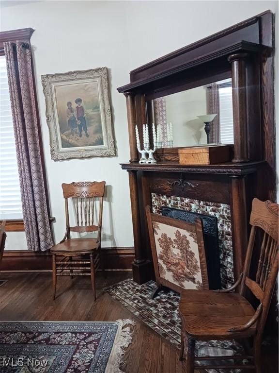 sitting room featuring hardwood / wood-style flooring