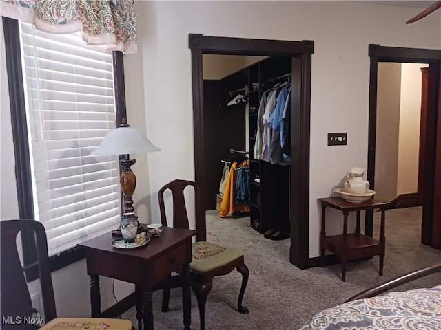 carpeted bedroom with a closet