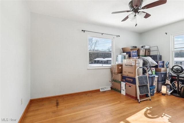 storage featuring ceiling fan