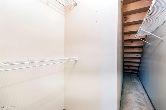 spacious closet featuring carpet floors