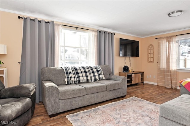 living room featuring crown molding and dark hardwood / wood-style flooring