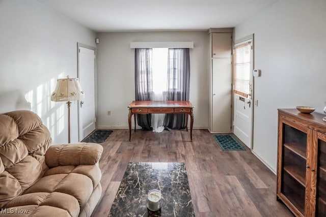 living area with dark hardwood / wood-style floors