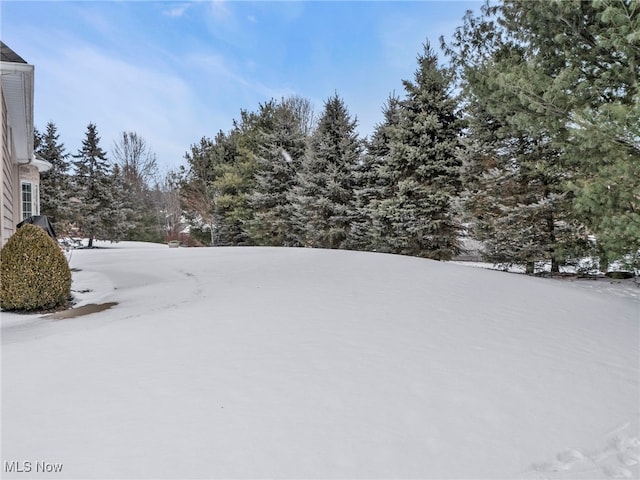 view of yard layered in snow