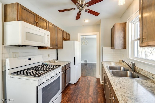 kitchen featuring dark hardwood / wood-style floors, a healthy amount of sunlight, sink, and white appliances