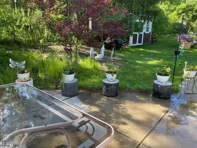 view of yard featuring an outbuilding, a patio area, and a storage shed