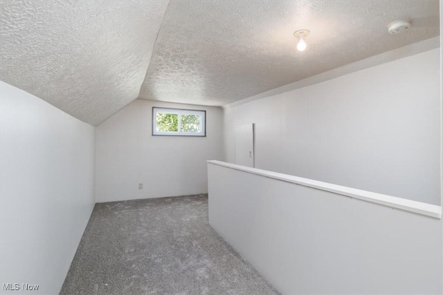 additional living space featuring lofted ceiling, carpet floors, and a textured ceiling