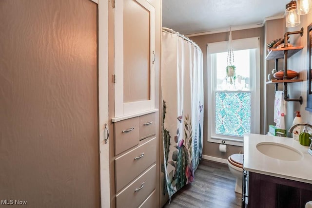 bathroom with vanity, hardwood / wood-style flooring, and toilet