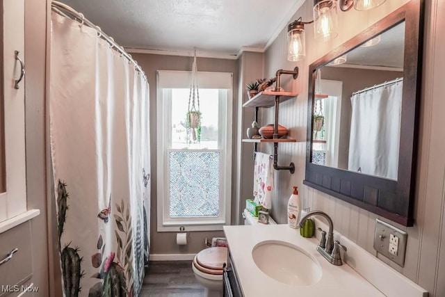 bathroom with vanity, hardwood / wood-style floors, ornamental molding, and toilet