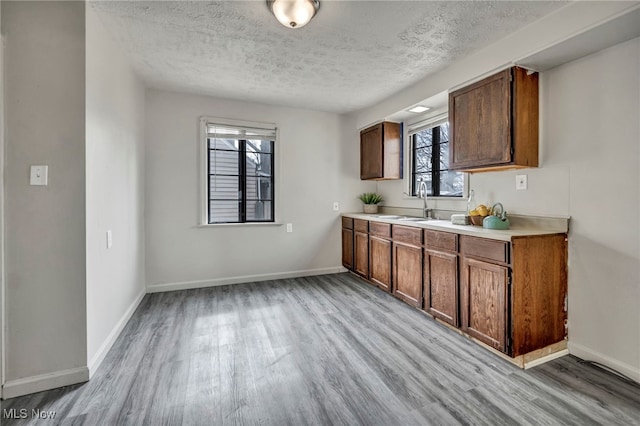 kitchen with a healthy amount of sunlight, sink, a textured ceiling, and light hardwood / wood-style flooring